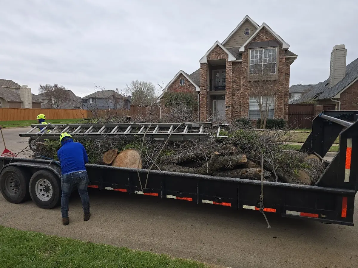Expert Lot Clearing with proper safety equipment in Drew